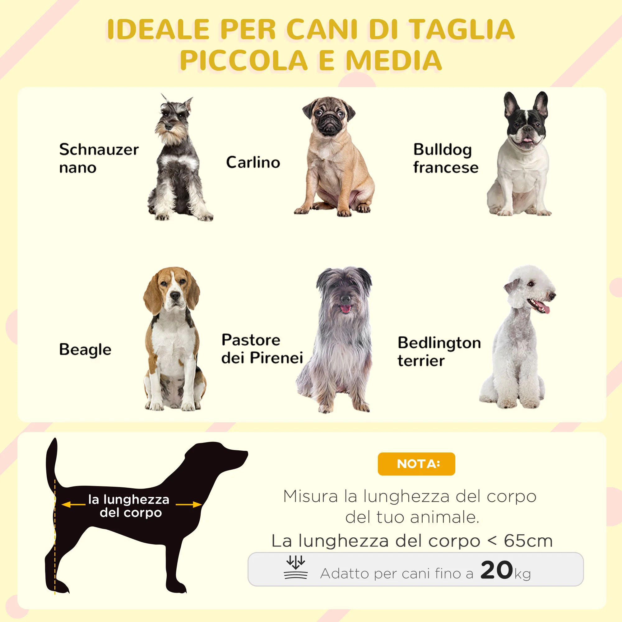 Immagine prodotto 4