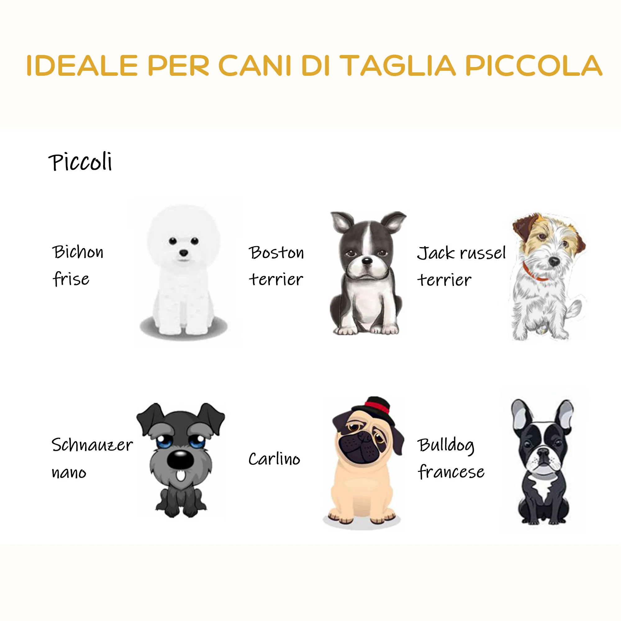 Immagine prodotto 7