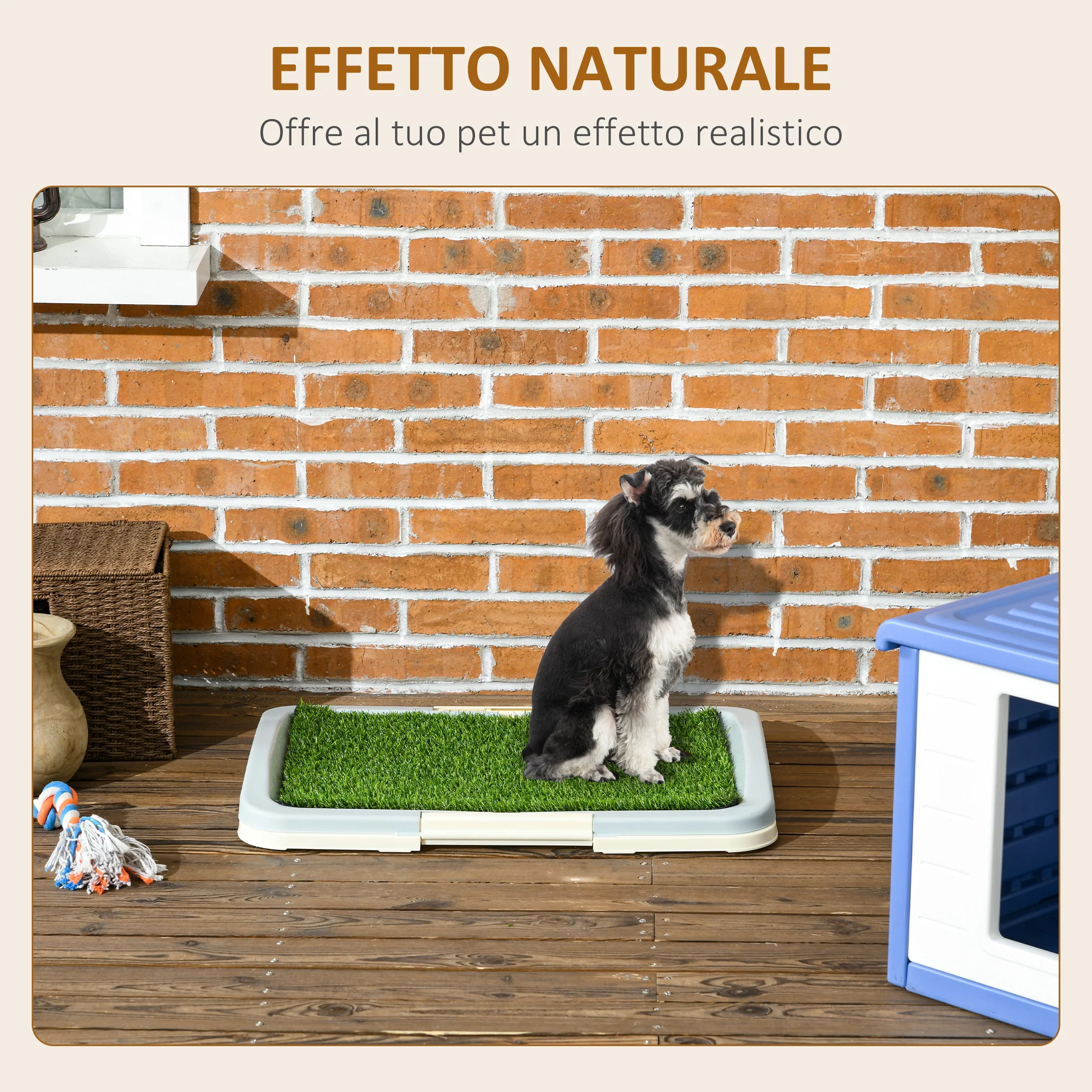 Immagine prodotto 4