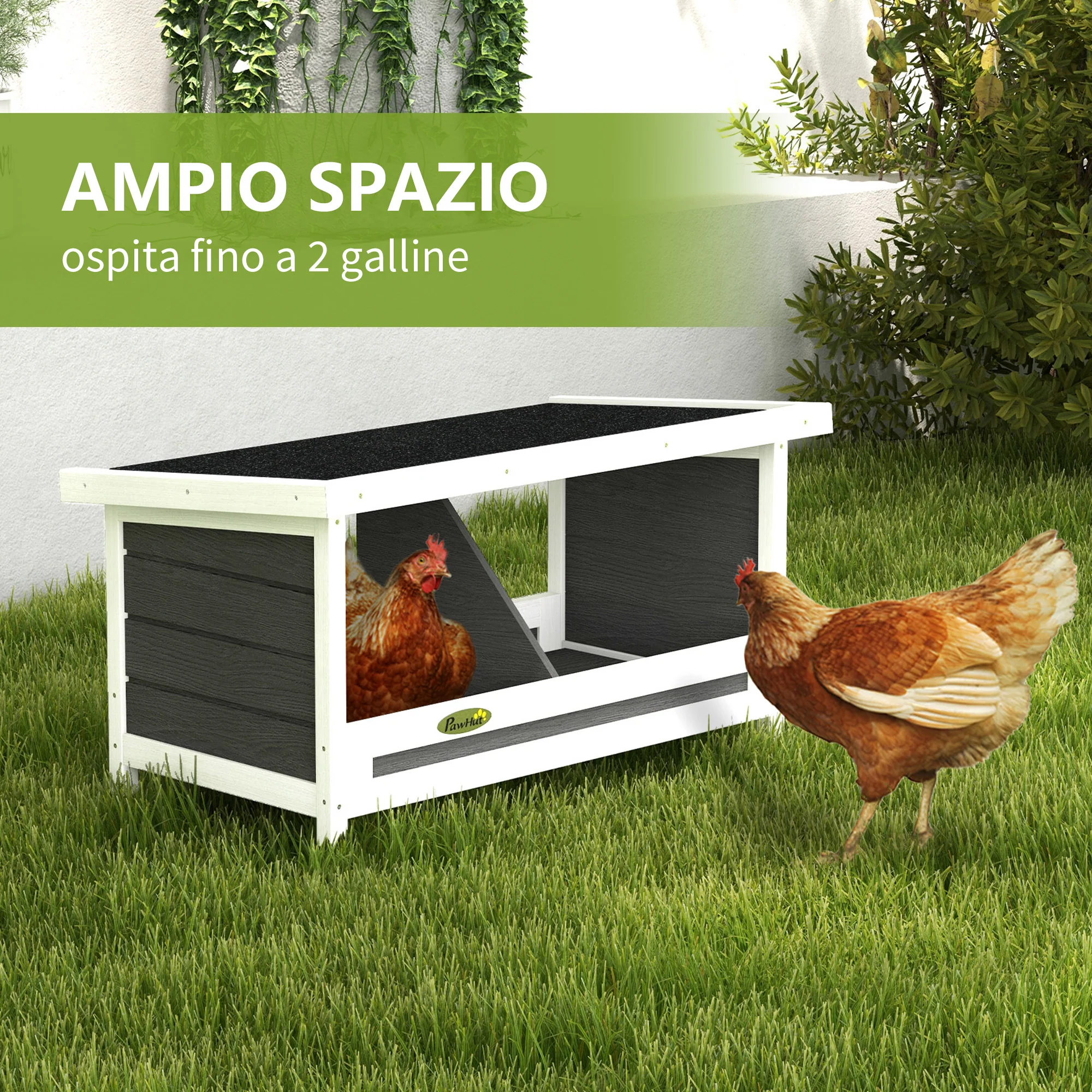 Immagine prodotto 4