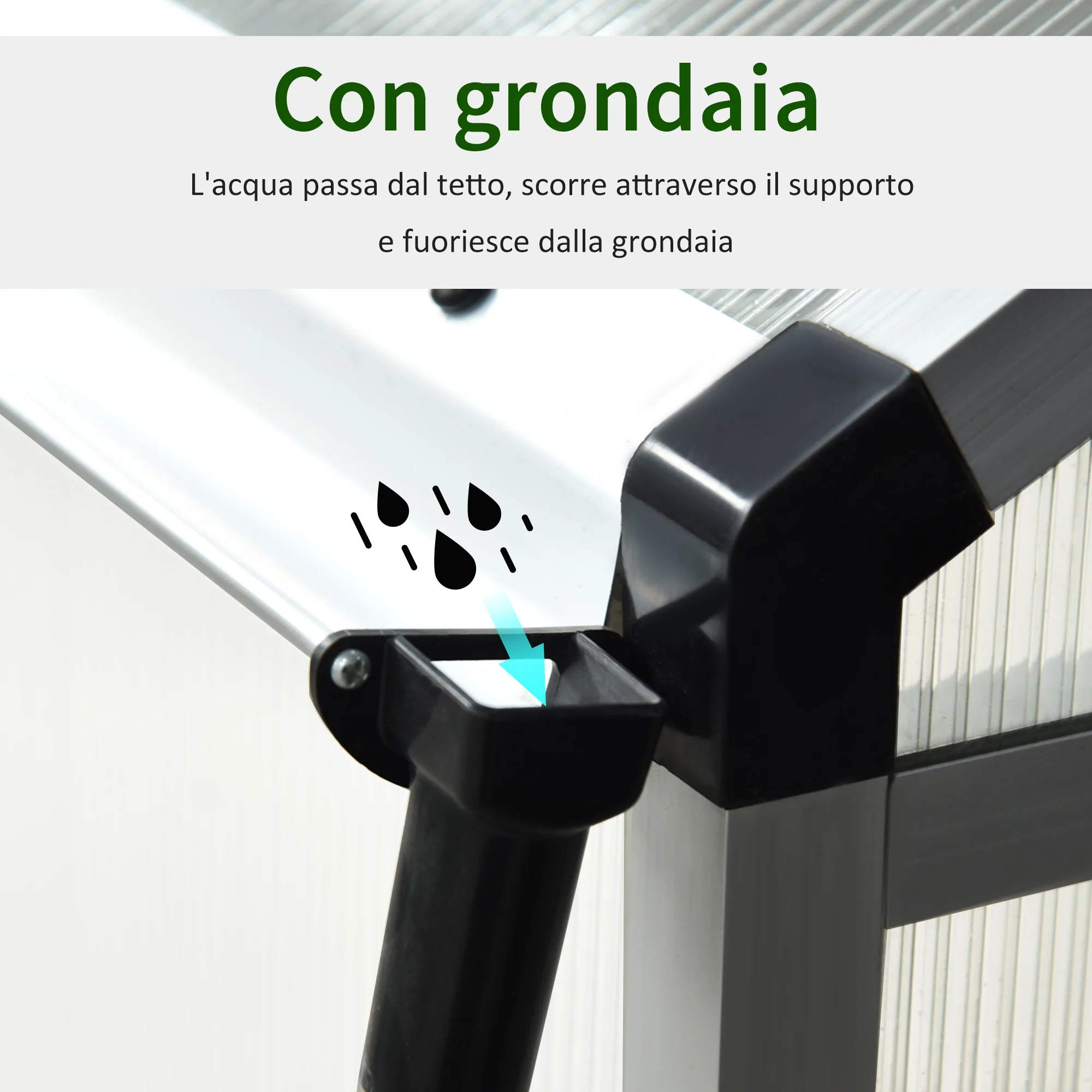 Immagine prodotto 6